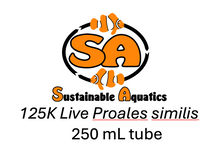 Load image into Gallery viewer, Live Proales similis rotifers