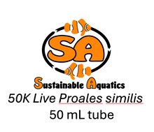 Load image into Gallery viewer, Live Proales similis rotifers